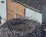 Capi_Dubne_20261016_140504.jpg