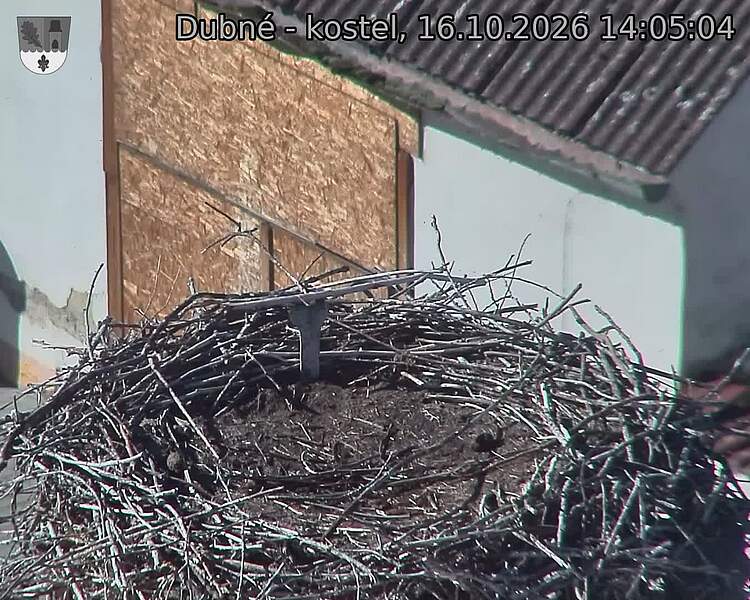 preload