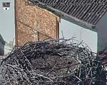 Capi_Dubne_20261016_142504.jpg