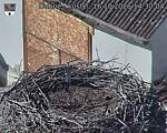 Capi_Dubne_20261016_143004.jpg