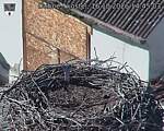 Capi_Dubne_20261016_144503.jpg
