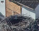 Capi_Dubne_20261016_160504.jpg