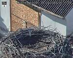 Capi_Dubne_20261016_161504.jpg