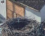 Capi_Dubne_20261016_163504.jpg