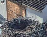 Capi_Dubne_20261016_164003.jpg