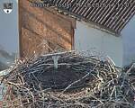 Capi_Dubne_20261016_171503.jpg