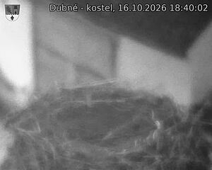 Capi_Dubne_20261016_184002.jpg (1350&nbsp;x&nbsp;1080)
