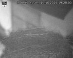 Capi_Dubne_20261016_192003.jpg