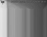 Capi_Dubne_20261017_001803.jpg