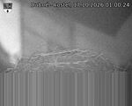 Capi_Dubne_20261017_010024.jpg