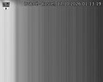 Capi_Dubne_20261017_011319.jpg