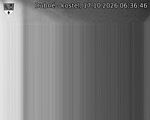 Capi_Dubne_20261017_063646.jpg
