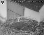 Capi_Dubne_20261017_070503.jpg
