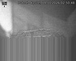 Capi_Dubne_20261018_025048.jpg