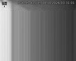 Capi_Dubne_20261018_033101.jpg