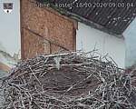 Capi_Dubne_20261018_090004.jpg