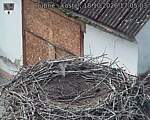 Capi_Dubne_20261018_170503.jpg