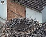 Capi_Dubne_20261018_171003.jpg