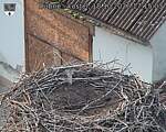 Capi_Dubne_20261018_171503.jpg