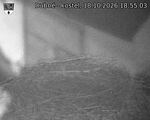 Capi_Dubne_20261018_185503.jpg
