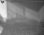 Capi_Dubne_20261018_191002.jpg