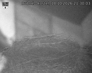 Capi_Dubne_20261018_213003.jpg (1350&nbsp;x&nbsp;1080)