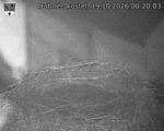 Capi_Dubne_20261019_002003.jpg