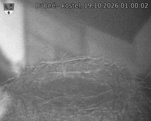 preload