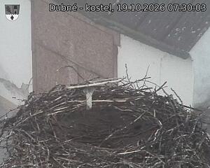 Capi_Dubne_20261019_073003.jpg (1350&nbsp;x&nbsp;1080)