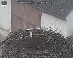 Capi_Dubne_20261019_080503.jpg