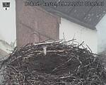 Capi_Dubne_20261019_081503.jpg