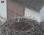 Capi_Dubne_20261019_100003.jpg