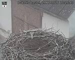 Capi_Dubne_20261019_102503.jpg