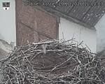 Capi_Dubne_20261019_111003.jpg