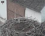 Capi_Dubne_20261019_111503.jpg