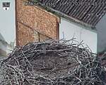 Capi_Dubne_20261019_144003.jpg