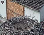 Capi_Dubne_20261019_145503.jpg