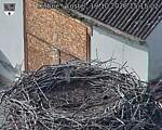 Capi_Dubne_20261019_151502.jpg