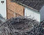 Capi_Dubne_20261019_153503.jpg