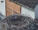 Capi_Dubne_20261019_154004.jpg