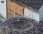 Capi_Dubne_20261019_155505.jpg