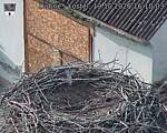 Capi_Dubne_20261019_161003.jpg