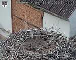 Capi_Dubne_20261019_170503.jpg