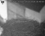 Capi_Dubne_20261019_184003.jpg