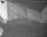 Capi_Dubne_20261019_202210.jpg