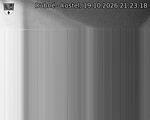 Capi_Dubne_20261019_212318.jpg