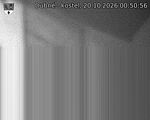 Capi_Dubne_20261020_005056.jpg