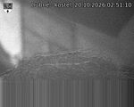 Capi_Dubne_20261020_025110.jpg