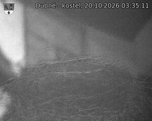 Capi_Dubne_20261020_033511.jpg (1350&nbsp;x&nbsp;1080)
