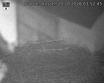 Capi_Dubne_20261020_035246.jpg